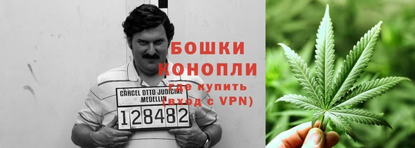 шишки Слюдянка