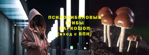 ГАЛЛЮЦИНОГЕННЫЕ ГРИБЫ Абинск