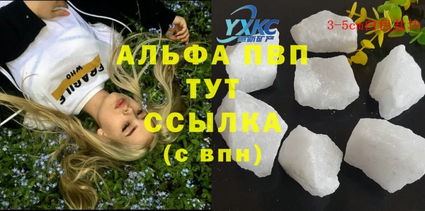 шишки Слюдянка