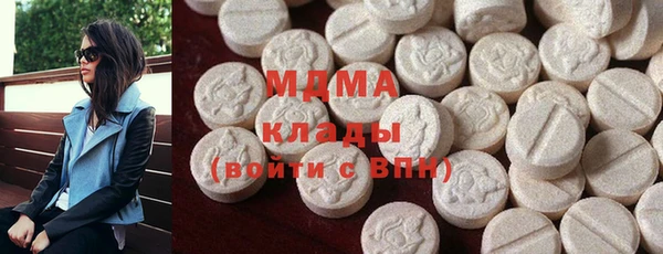 шишки Слюдянка