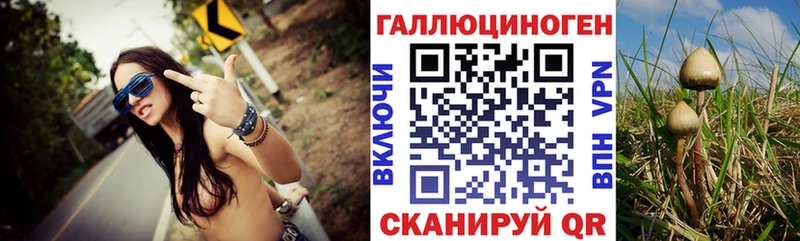Галлюциногенные грибы Magic Shrooms  даркнет сайт  Вилюйск 